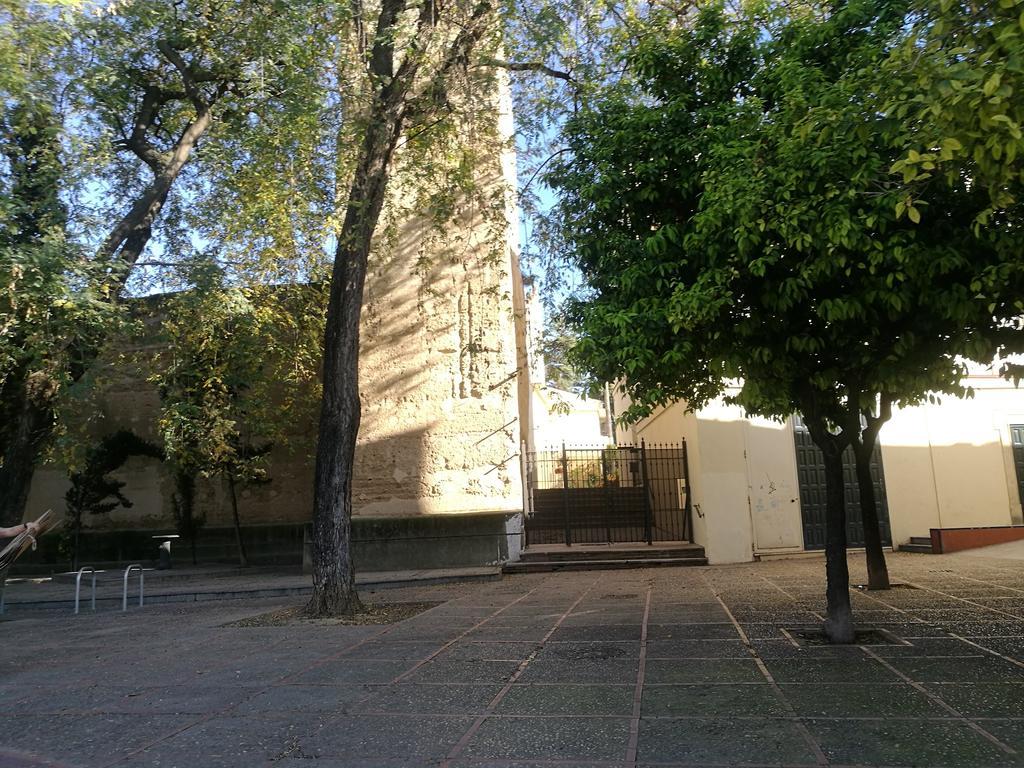 Duplex Ancha Con Wifi Y Parking Apartment Jerez de la Frontera Luaran gambar
